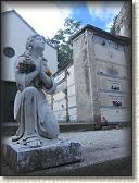 IMG_1587