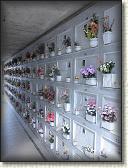 IMG_1597