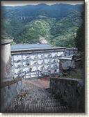 IMG_1598