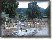IMG_1599