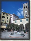 IMG_1610