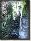 IMG_1626