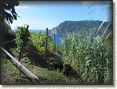 IMG_1627