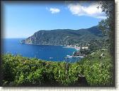 IMG_1639