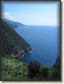 IMG_1645
