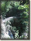 IMG_1650