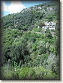 IMG_1652