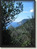 IMG_1653