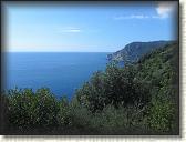 IMG_1654
