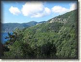 IMG_1655