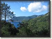 IMG_1656