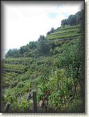 IMG_1681