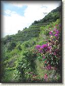 IMG_1685