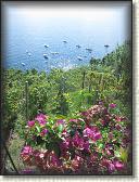 IMG_1686