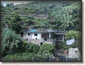IMG_1707