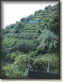 IMG_1708