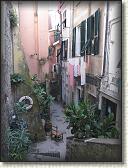 IMG_1712