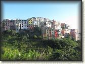IMG_1825