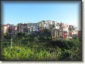 IMG_1826