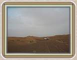 IMG_1472