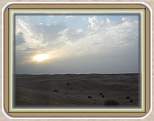 IMG_1555