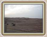 IMG_1556