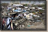 IMG_2747
