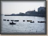 IMG_0545