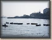 IMG_0546