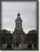 IMG_8826