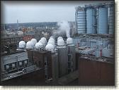 IMG_8900