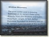 IMG_8925