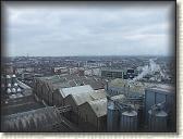 IMG_8931