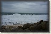 DSC01018