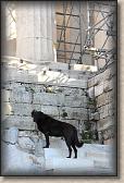 IMG_8368