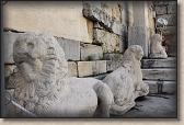 IMG_8609