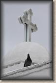 IMG_8877