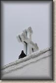 IMG_8878