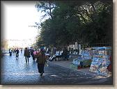 IMG_9204