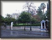 IMG_9252