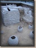 IMG_9269
