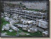 IMG_9325