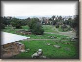 IMG_9387