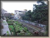 IMG_9393