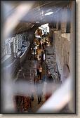 IMG_6925