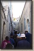 IMG_6929