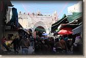 IMG_6955
