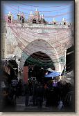 IMG_6956