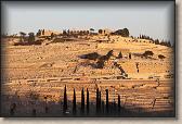 IMG_7233