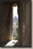 IMG_7517